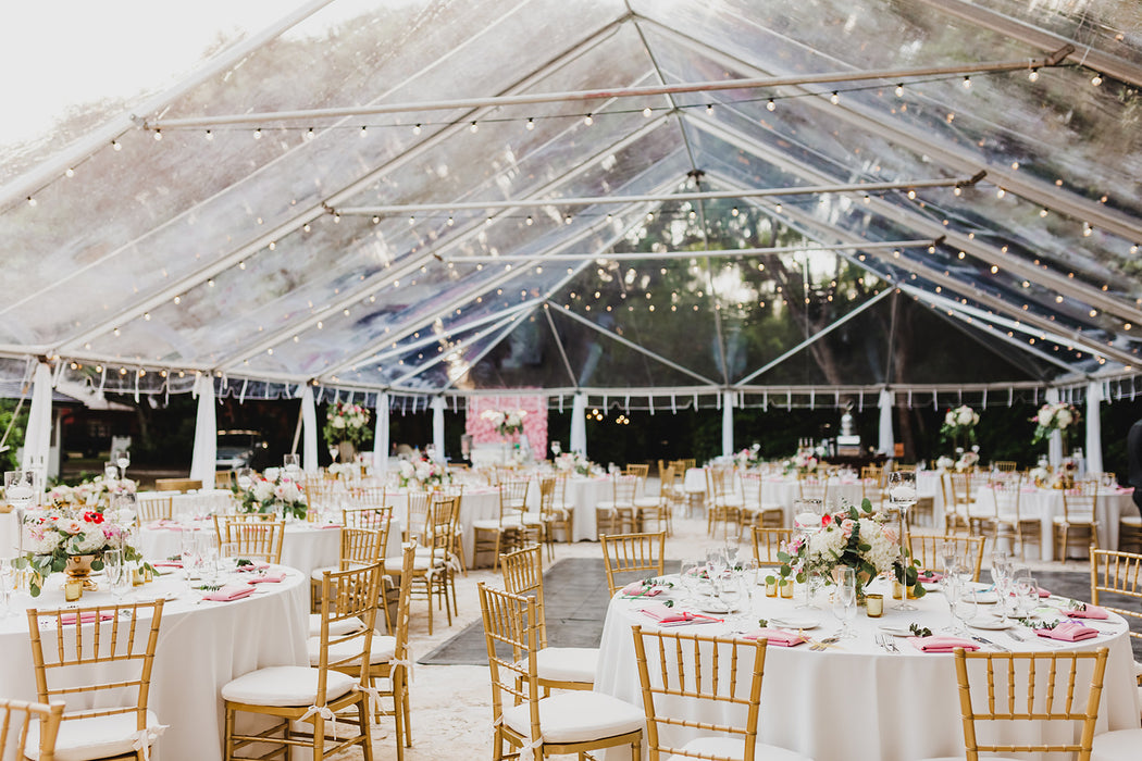 tent clear cream Clear Top Tent